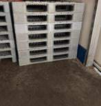 H1 grijze pallet met rand, Doe-het-zelf en Verbouw, Kratten en Dozen, 100 cm of meer, 60 cm of meer, Overige typen, Minder dan 35 cm