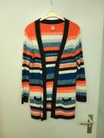 Lang Dames vest in Hollandse kleuren mt 42, Ophalen of Verzenden, Zo goed als nieuw, Maat 42/44 (L)