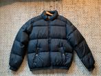 Tommy Hilfiger winterjas donkerblauw maat L, Maat 52/54 (L), Blauw, Tommy Hilfiger, Nieuw