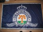 Oranje boom, Ophalen of Verzenden, Gebruikt, Overige typen, Oranjeboom
