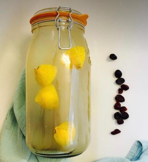 Waterkefir het gezondste drankje, Diversen, Levensmiddelen, Verzenden