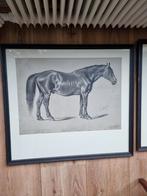 Ingelijste paardenprenten van Julius von Blaas, Ophalen