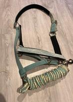 Mintgroen halster met halstertouw, Dieren en Toebehoren, Ophalen of Verzenden, Nieuw, Overige soorten