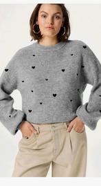 Fabienne Chapot Lidia pullover/ trui maat XL *nieuw *, Kleding | Dames, Maat 46/48 (XL) of groter, Nieuw, Ophalen of Verzenden