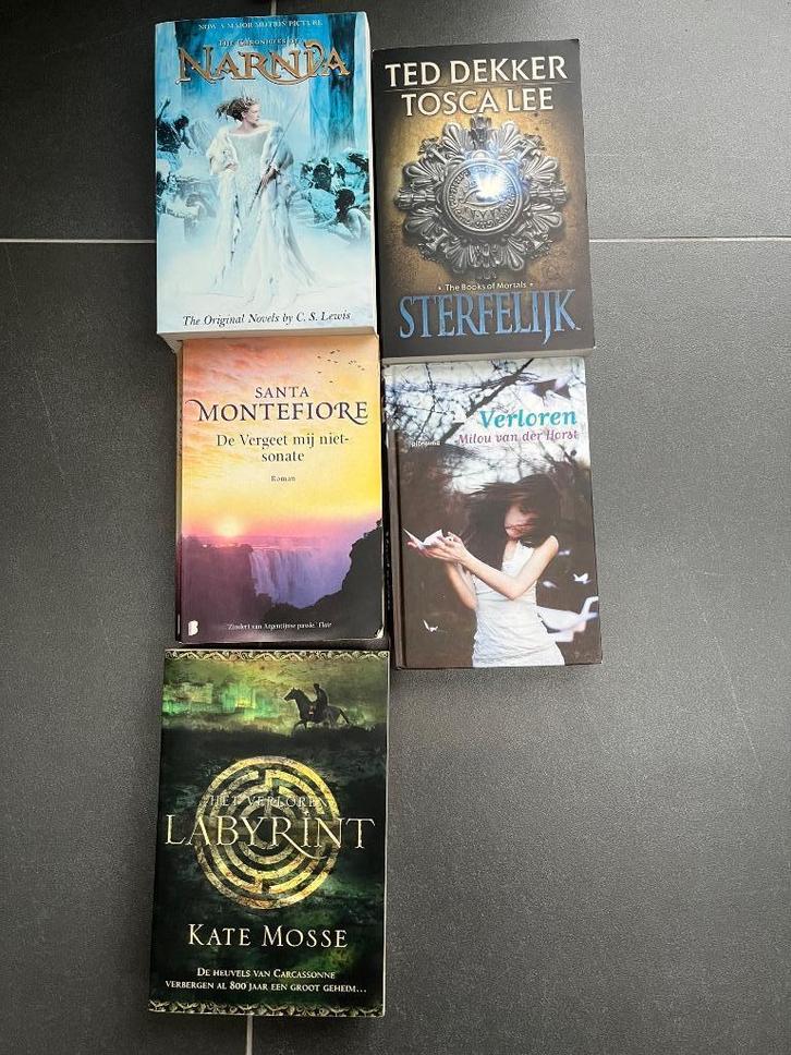 Diverse boeken (paperbacks), Boeken, Avontuur en Actie, Gelezen, Ophalen of Verzenden