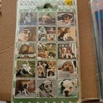 Stickers dieren, velletjes, Ophalen of Verzenden, Zo goed als nieuw