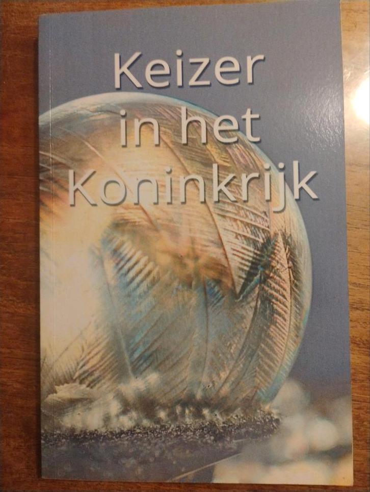 Keizer in het Koninkrijk - Roman, Boeken, Romans, Zo goed als nieuw, Nederland, Ophalen of Verzenden