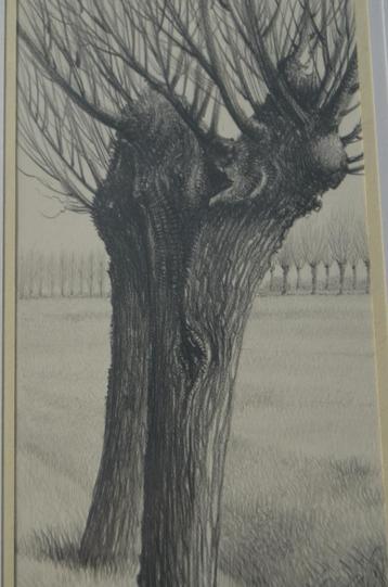 10 x Hendrik Voskuijl (1893 - 1980) potloodtek. 'bomen' (2) beschikbaar voor biedingen