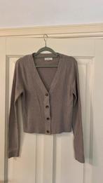 H&M taupe vest maat M, Ophalen of Verzenden, Zo goed als nieuw, Maat 38/40 (M), Bruin