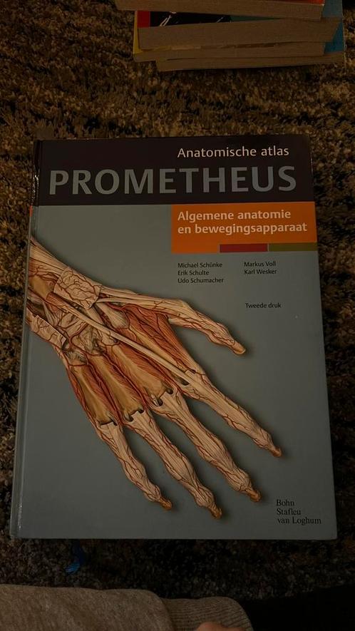 Michael Schunke - Algemene anatomie en bewegingsapparaat, Boeken, Wetenschap, Zo goed als nieuw, Ophalen of Verzenden