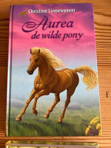 Christine Linneweever - Aurea de wilde pony beschikbaar voor biedingen