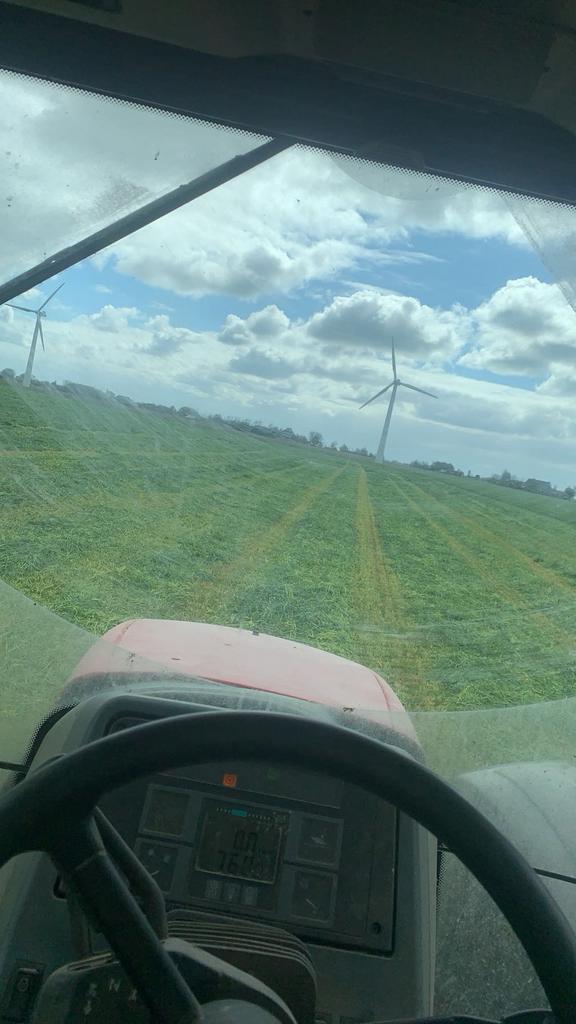 Grasland  gezocht seizoen 2016, Dieren en Toebehoren, Stalling en Weidegang, Weidegang