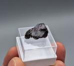 Cupriet - Mashamba West, DR Congo, Verzamelen, Ophalen of Verzenden, Mineraal