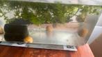 Appelslakken, Ophalen, Plant(en), Steen of Hout