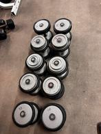 Pannata Vaste Dumbells 10kg t/m 22kg, Ophalen, Gebruikt, Dumbbell