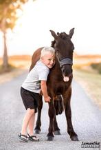 Leuke en vrolijke shetlander, Dieren en Toebehoren, Gechipt, Ruin, Zadelmak, A pony (tot 1.17m)