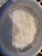 Melk Kefir - Verse Cultuur, Ophalen, Nieuw