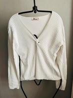 Witte trui/ longsleeve diepe V-hals Miss Etam - maat L (40), Wit, Maat 42/44 (L), Ophalen of Verzenden, Zo goed als nieuw