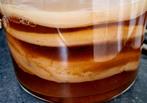 Grote scoby voor Kombucha, Ophalen