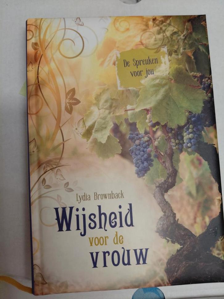 Wijsheid voor de vrouw - Lydia Brownback, Boeken, Godsdienst en Theologie, Nieuw, Christendom | Katholiek, Christendom | Protestants