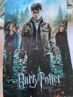Harry Potter filmposter, Boek of Poster, Zo goed als nieuw, Ophalen