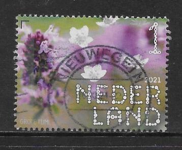 2021, Nieuwkoopse Plassen, Grote Tijm [3937] (K0733) beschikbaar voor biedingen