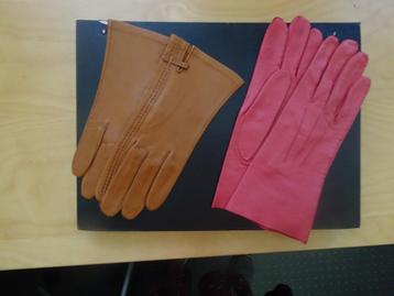 Dameshandschoenen beschikbaar voor biedingen