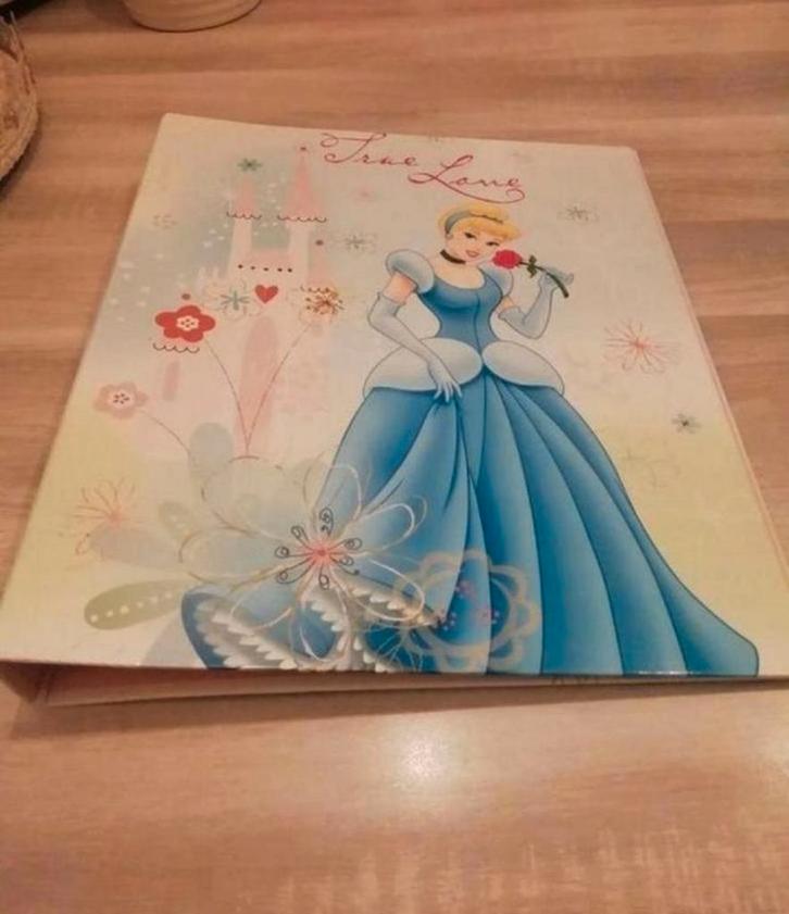 Prinsessen Ringbandmap - Nieuw!, Diversen, Schoolbenodigdheden, Nieuw, Ophalen of Verzenden