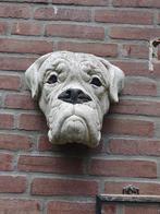 Bordeauxdog kop, Zo goed als nieuw, Ophalen