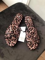 zara leopard print slippers slides mules | 38, Slippers, Verzenden, Zwart, Nieuw