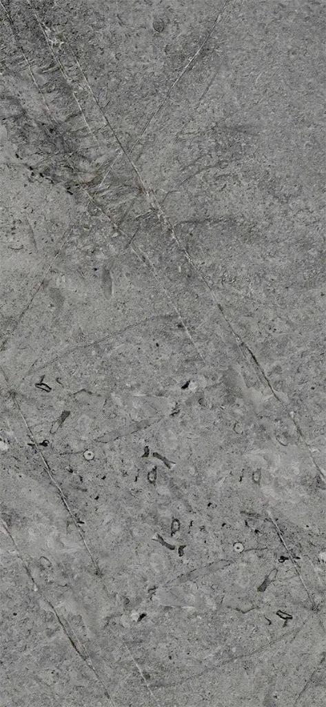 Stone Grey – PVC Marmer Wandpaneel 120x260x0,3cm / NIEUW, Doe-het-zelf en Verbouw, Platen en Panelen, Nieuw, Overige materialen