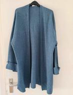 Paprika Dames Vest met Parel Details, Ophalen of Verzenden, Zo goed als nieuw, Maat 46/48 (XL) of groter, Blauw