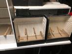 Broedkooi van 60 x30 x 30 en 2 tt kooien, Dieren en Toebehoren, Vogels | Hokken en Kooien, Ophalen, Zo goed als nieuw, Hout, Broedkooi of Kweekkooi