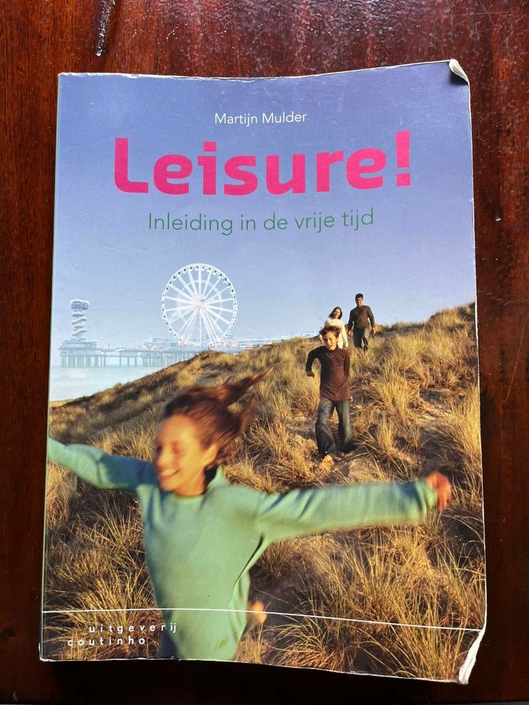 Martijn Mulder - Leisure!, Sociale wetenschap, Ophalen of Verzenden, Zo goed als nieuw, Martijn Mulder