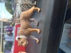 Schleich leeuwin, Ophalen of Verzenden, Zo goed als nieuw, Wild dier, Beeldje of Figuurtje