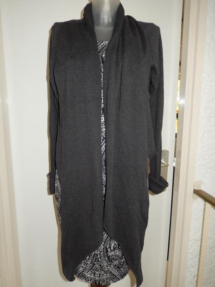 lang vest Est'05 dk grijs René vd Wijck 100% katoen zgan, Kleding | Dames, Truien en Vesten, Zo goed als nieuw, Maat 38/40 (M)