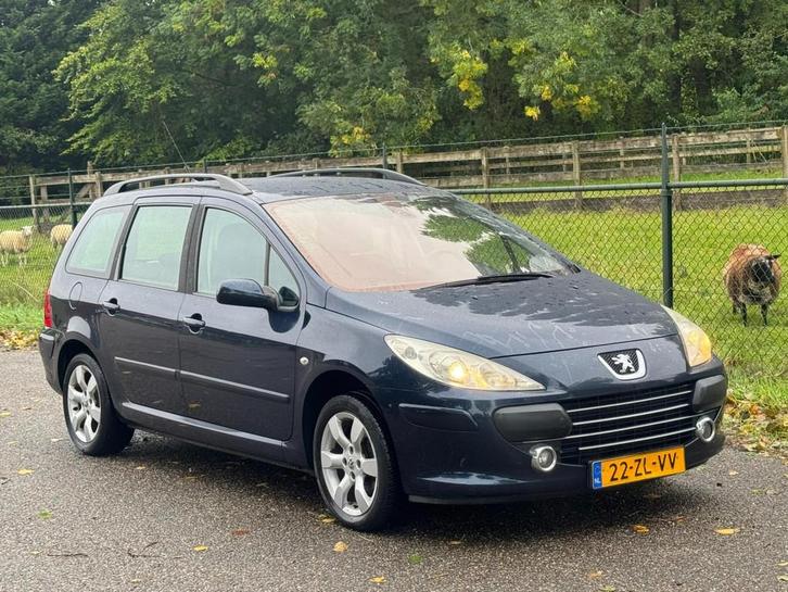 Peugeot 307 Break 2.0-16V Premium /Airco/Cruise/, Auto's, Peugeot, Bedrijf, Te koop, Airbags, Airconditioning, Centrale vergrendeling