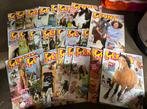 Penny boekjes 2022 tijdschriften magazine paarden, Ophalen of Verzenden, Zo goed als nieuw, Sport en Vrije tijd