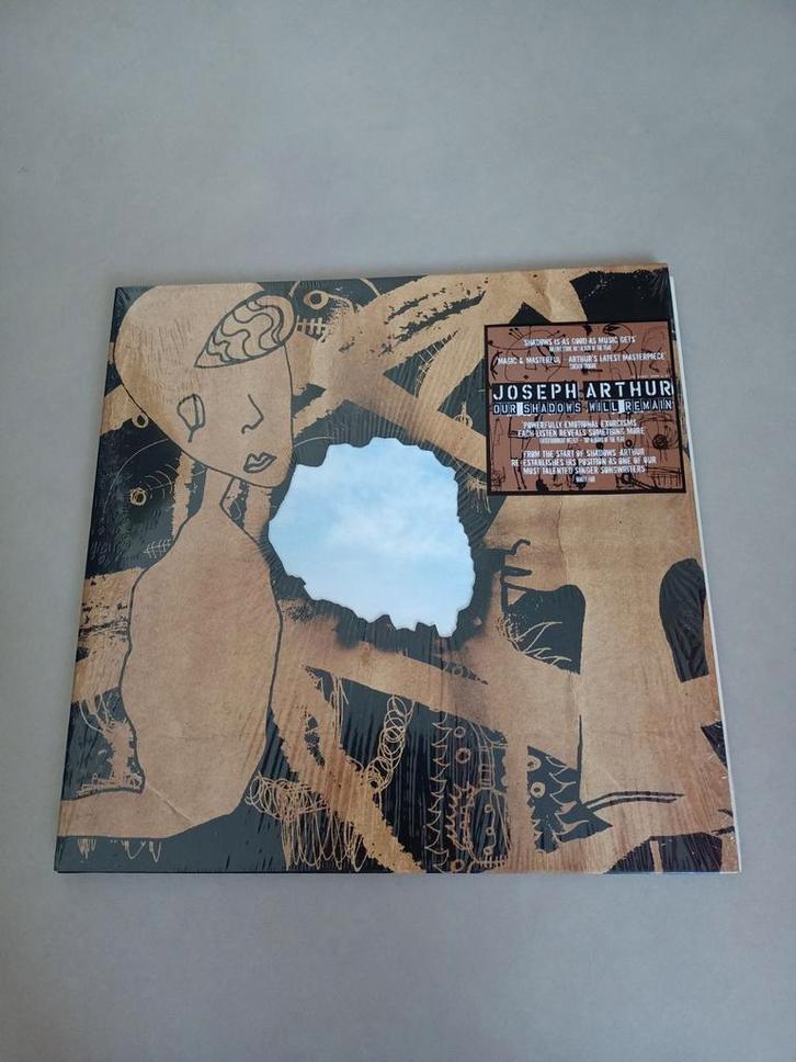 Joseph Arthur - Our Shadows Will Remain 2LP ZGAN, Cd's en Dvd's, Vinyl | Rock, Zo goed als nieuw, Poprock, 12 inch, Ophalen of Verzenden