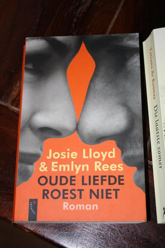 Oude liefde roest niet, Boeken, Romans, Gelezen, Ophalen of Verzenden
