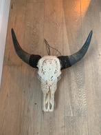Buffel schedel (echte) met gegraveerde kunst, Huis en Inrichting, Ophalen of Verzenden, Gebruikt