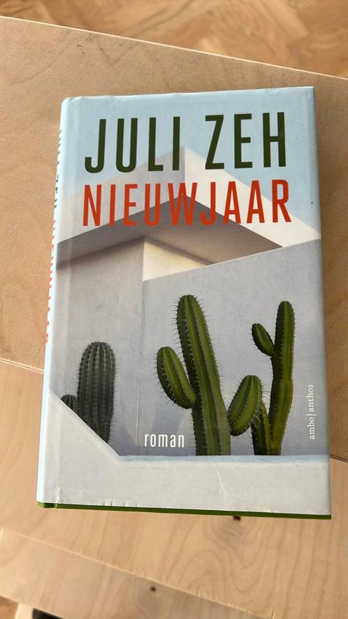 Juli Zeh - Nieuwjaar, Boeken, Literatuur, Zo goed als nieuw, Nederland, Ophalen of Verzenden
