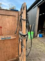 Hoofdstel maat full, Ophalen of Verzenden, Gebruikt, Dressuur