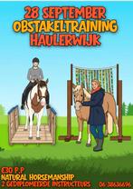 Obstakeltraining, Dieren en Toebehoren, Ophalen of Verzenden, Zo goed als nieuw