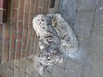 Tuinbeelden, Tuin en Terras, Tuinbeelden, Ophalen, Gebruikt