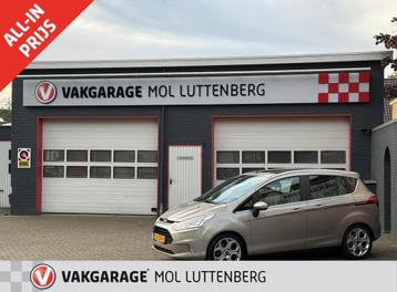 FORD B-Max 1.0 EcoBoost 100PK Titanium, PANORAMADAK, TREKHAA beschikbaar voor biedingen