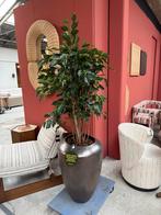 Kunst Ficus Benjamina Exotica - 130 cm, Huis en Inrichting, Ophalen, Binnen, Zo goed als nieuw, Nvt