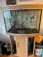 aqaurium en toebehoren, Dieren en Toebehoren, Vissen | Aquaria en Toebehoren, Ophalen, Gebruikt, Leeg aquarium