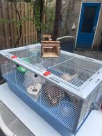Hamster kooi., Minder dan 60 cm, Kooi, Minder dan 75 cm, Ophalen of Verzenden