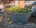 Brocante antieke zinken teil - teilen wasteil plantenbak blo, Tuin, Ophalen of Verzenden, Zo goed als nieuw, Metaal